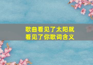 歌曲看见了太阳就看见了你歌词含义