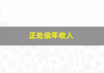 正处级年收入