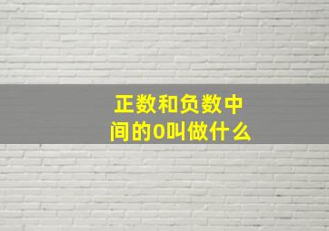 正数和负数中间的0叫做什么