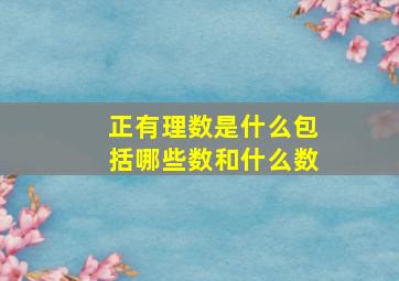 正有理数是什么包括哪些数和什么数