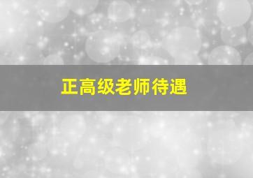 正高级老师待遇