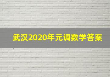 武汉2020年元调数学答案