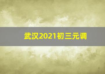 武汉2021初三元调