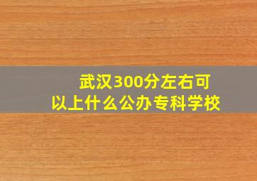 武汉300分左右可以上什么公办专科学校