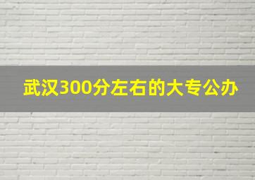 武汉300分左右的大专公办