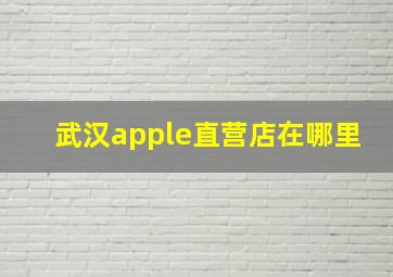 武汉apple直营店在哪里