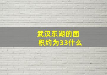 武汉东湖的面积约为33什么