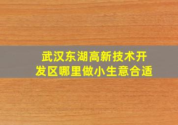 武汉东湖高新技术开发区哪里做小生意合适