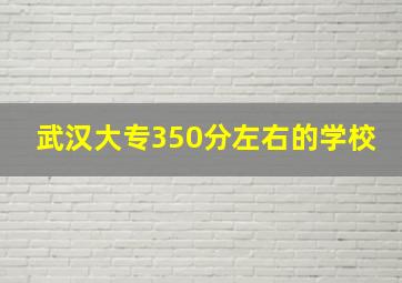 武汉大专350分左右的学校