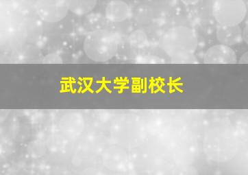 武汉大学副校长