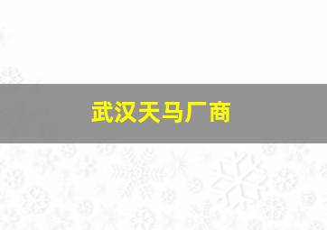 武汉天马厂商