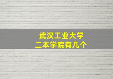 武汉工业大学二本学院有几个