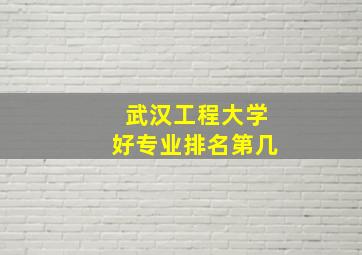 武汉工程大学好专业排名第几