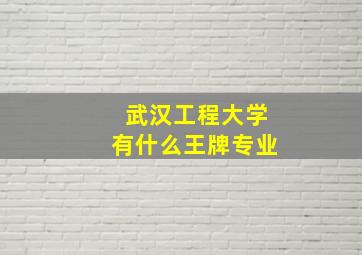 武汉工程大学有什么王牌专业