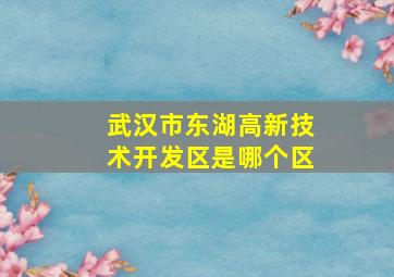 武汉市东湖高新技术开发区是哪个区