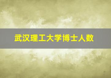 武汉理工大学博士人数