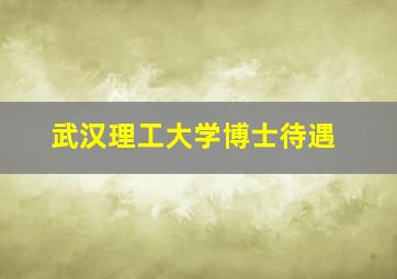 武汉理工大学博士待遇