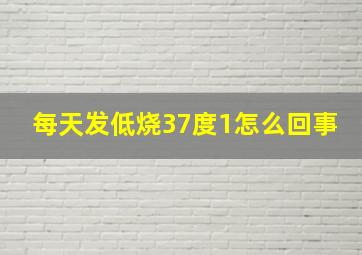 每天发低烧37度1怎么回事