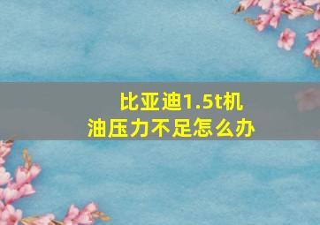 比亚迪1.5t机油压力不足怎么办