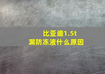 比亚迪1.5t漏防冻液什么原因