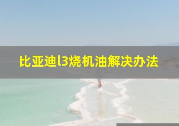 比亚迪l3烧机油解决办法