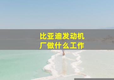 比亚迪发动机厂做什么工作