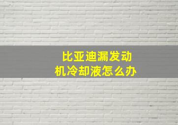 比亚迪漏发动机冷却液怎么办