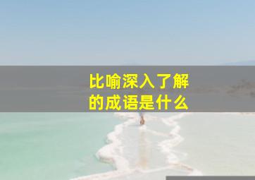 比喻深入了解的成语是什么