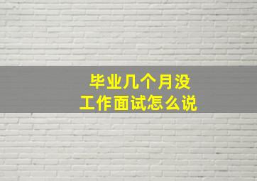 毕业几个月没工作面试怎么说