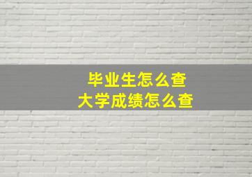 毕业生怎么查大学成绩怎么查