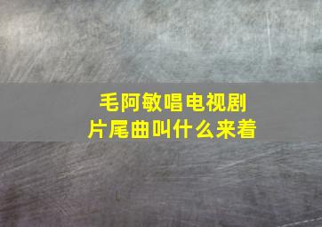 毛阿敏唱电视剧片尾曲叫什么来着