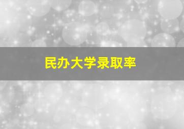 民办大学录取率