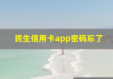 民生信用卡app密码忘了