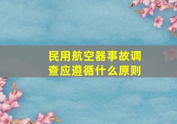 民用航空器事故调查应遵循什么原则