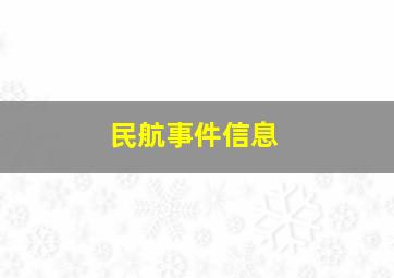 民航事件信息