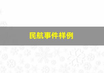 民航事件样例