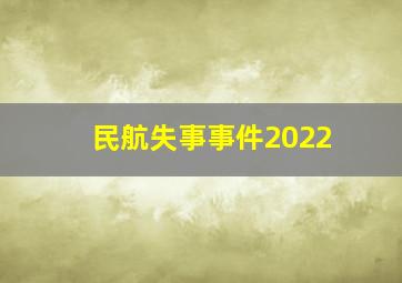 民航失事事件2022