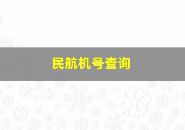 民航机号查询