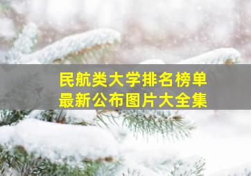 民航类大学排名榜单最新公布图片大全集