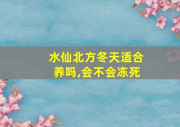 水仙北方冬天适合养吗,会不会冻死