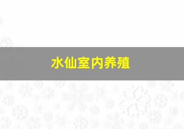 水仙室内养殖