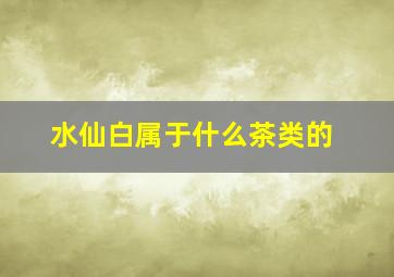 水仙白属于什么茶类的