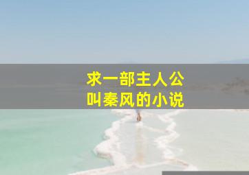 求一部主人公叫秦风的小说