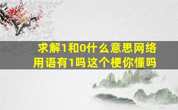 求解1和0什么意思网络用语有1吗这个梗你懂吗