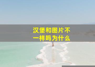 汉堡和图片不一样吗为什么