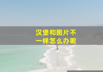 汉堡和图片不一样怎么办呢