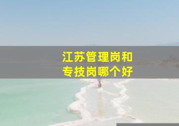 江苏管理岗和专技岗哪个好