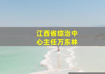 江西省综治中心主任万东林