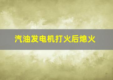 汽油发电机打火后熄火