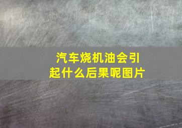 汽车烧机油会引起什么后果呢图片